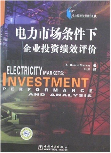 电力市场条件下企业投资绩效评价