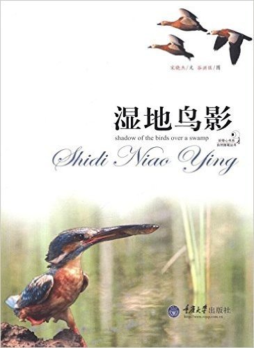 好奇心书系·自然随笔丛书:湿地鸟影