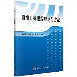 模糊目标跟踪理论与方法