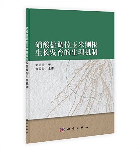 硝酸盐调控玉米侧根生长发育的生理机制