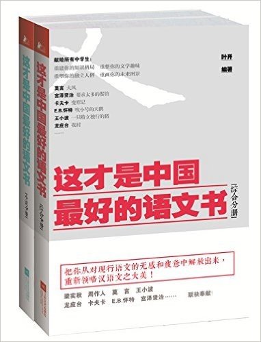 这才是中国最好的语文书(综合+小说分册)(套装共2册)