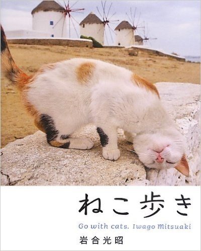 ねこ歩き