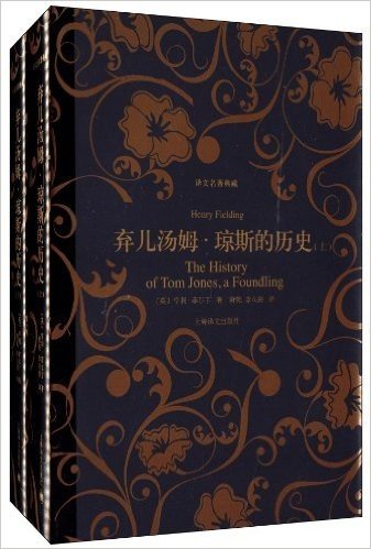 译文名著典藏:弃儿汤姆·琼斯的历史(套装共2册)