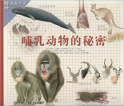 哺乳动物的秘密/野外探秘手册