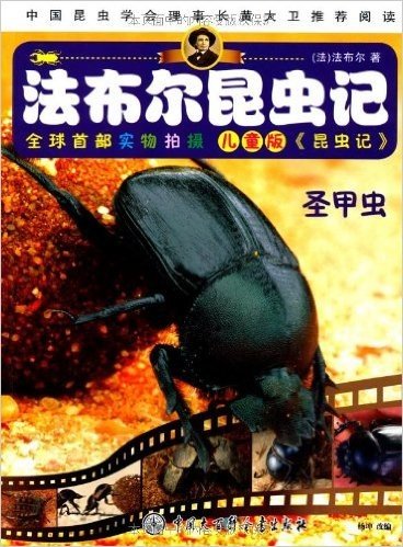 法布尔昆虫记:圣甲虫(儿童版)