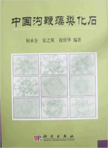 中国沟鞭藻类化石