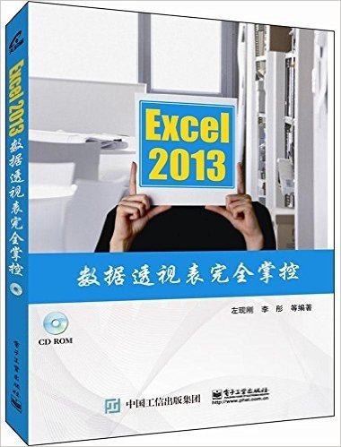 Excel 2013数据透视表完全掌控(附CD光盘)