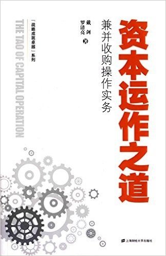 资本运作之道:兼并收购操作实务