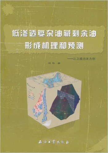 低渗透复杂油藏剩余油形成机理和预测:以卫城油田为例