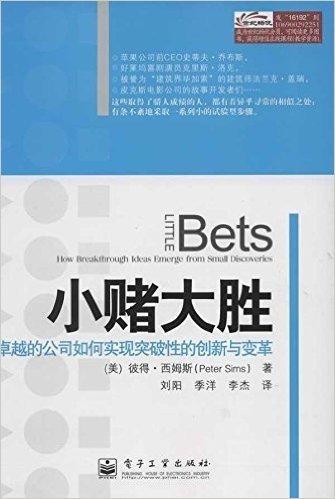 小赌大胜: 卓越的公司如何实现突破性的创新与变革