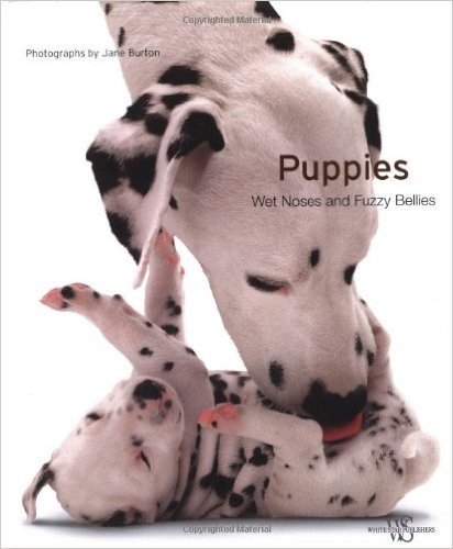 Puppies: Wet Noses and Fuzzy Bellies