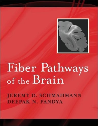 Fiber Pathways of the Brain