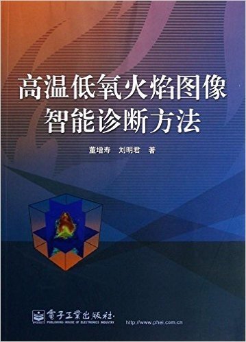 高温低氧火焰图像智能诊断方法