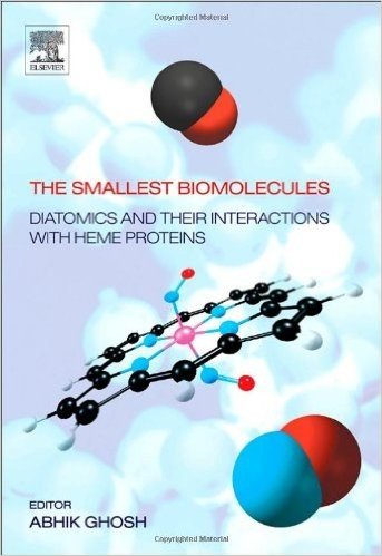 The Smallest Biomolecules: Diatomics and their Interactions with Heme Proteins