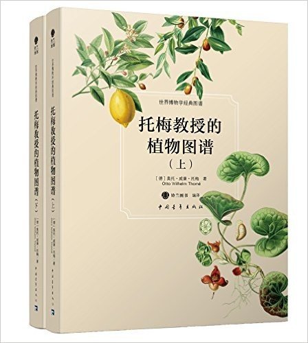 世界博物学经典图谱:托梅教授的植物图谱(套装共2册)