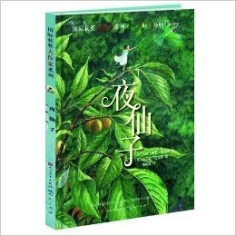 国际获奖大作家系列:夜仙子