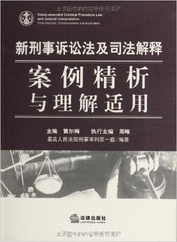 新刑事诉讼法及司法解释:案例精析与理解适用