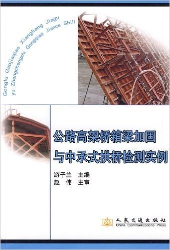 公路高架桥箱梁加固与中承式拱桥检测实例