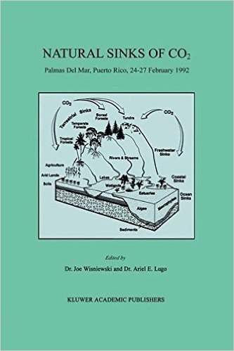 Natural Sinks of CO2: Palmas Del Mar, Puerto Rico, 24–27 February 1992