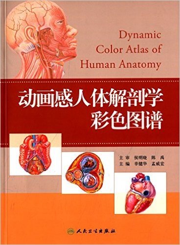 动画感人体解剖学彩色图谱