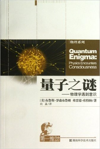 第一推动丛书•物理系列:量子之谜•物理学遇到意识