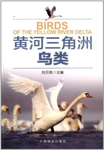 黄河三角洲鸟类