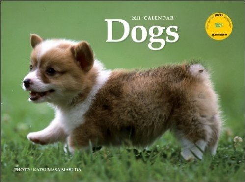 カレンダー '11 Dogs 月めくり壁