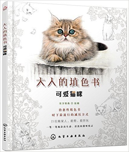 可爱猫咪