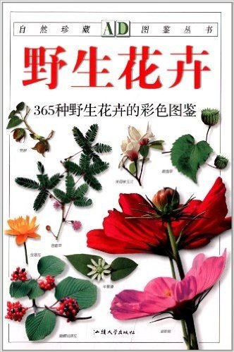 野生花卉(365种野生花卉的彩色图鉴)