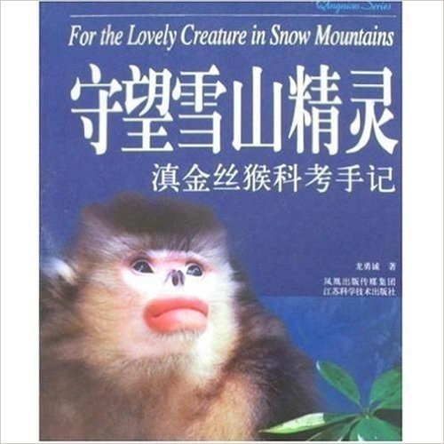 守望雪山精灵:滇金丝猴科考手记