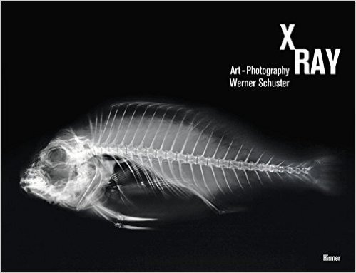 X-Ray: Art -Photography: Werner Schuster