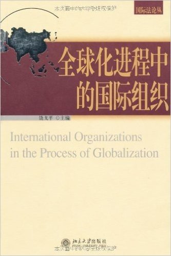 全球化进程中的国际组织
