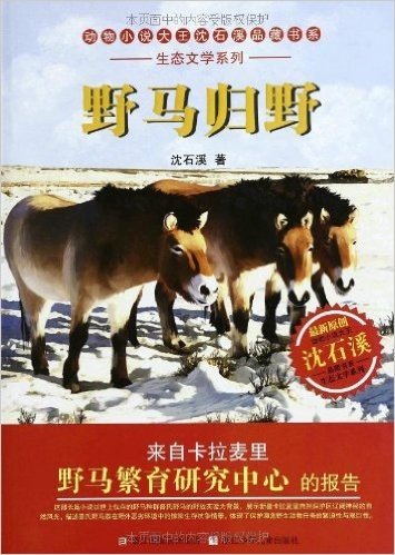 动物小说大王沈石溪品藏书系•生态文学系列:野马归野