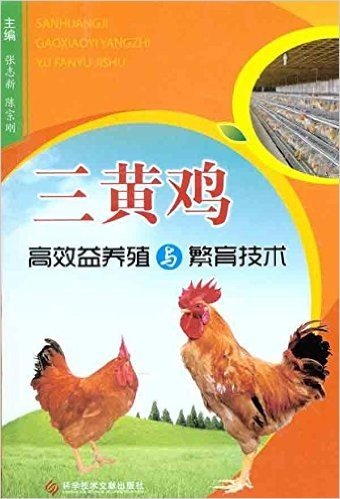 三黄鸡高效益养殖与繁育技术