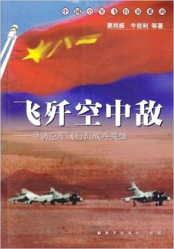 飞歼空中敌:寻访空军飞行员战斗英雄