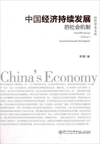 中国经济持续发展的社会机制