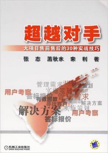 超越对手:大项目售前售后的30种实战技巧