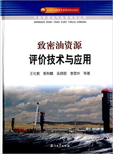 中国致密油气地质研究丛书:致密油资源评价技术与应用