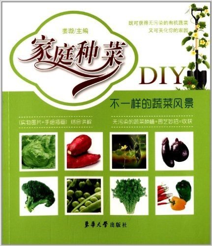 家庭种菜DIY:不一样的蔬菜风景