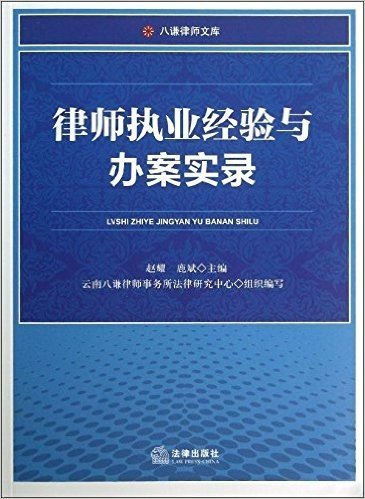 律师执业经验与办案实录