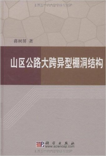 山区公路大跨异型棚洞结构