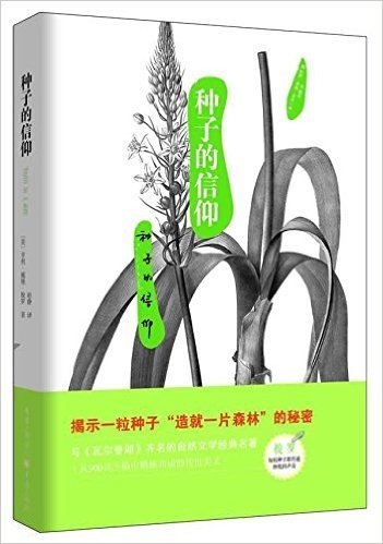 自然美文系列:种子的信仰