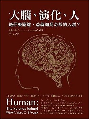 大腦、演化、人 是什麼關鍵,造就如此奇妙的人類