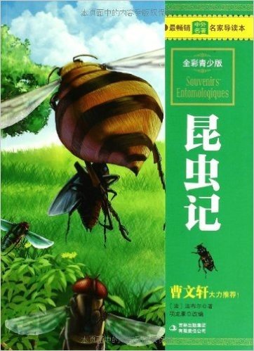 昆虫记(全彩青少版)