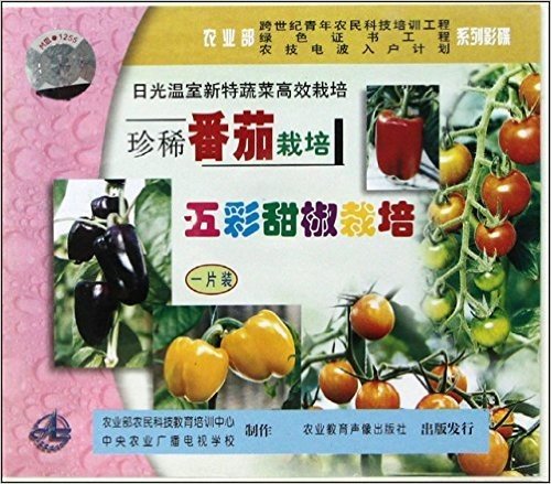 VCD日光温室新特蔬菜高效栽培珍稀番茄五彩甜椒栽培