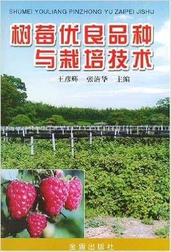 树莓优良品种与栽培技术
