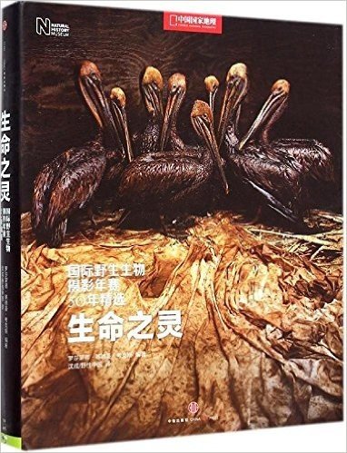 生命之灵:国际野生生物摄影年赛50年精选