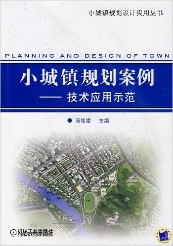 小城镇规划案例:技术应用示范