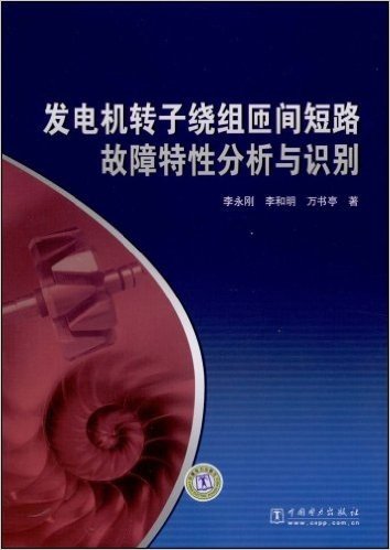 发电机转子绕组匝间短路故障特性分析与识别