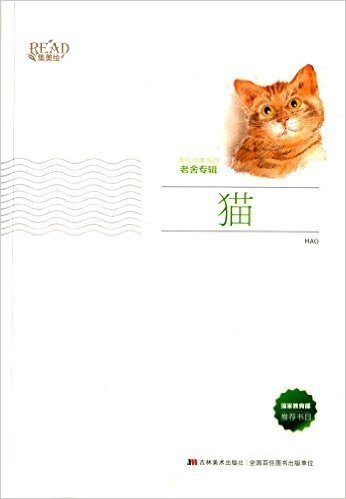 美绘经典系列:猫